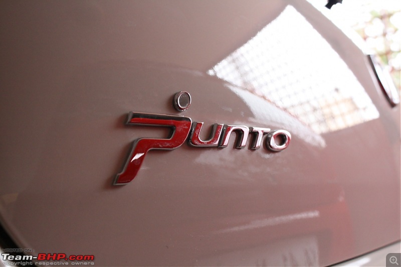 Number 3 - A Punto Story-img_3958.jpg