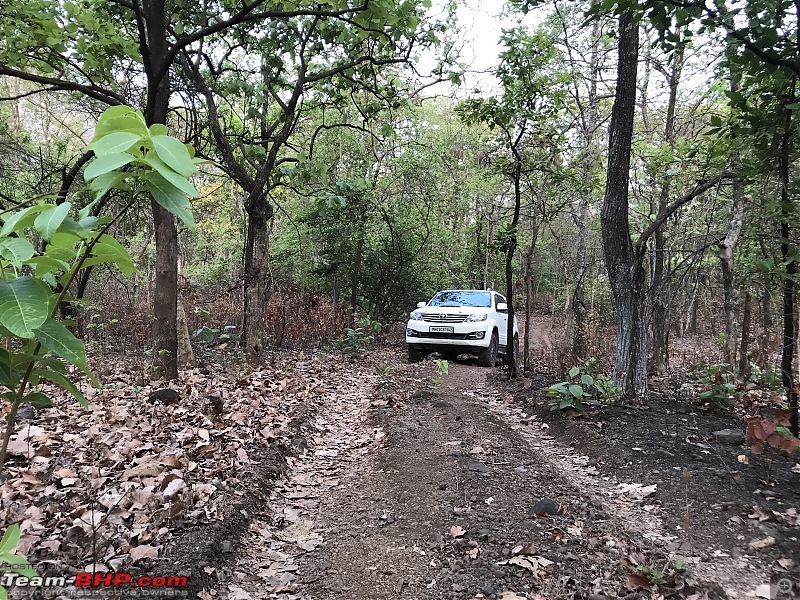 Toyota Fortuner 4x4 AT : My Furteela Ghonga. 2 years and 1,00,000 km up! EDIT: Now sold.-jungle-safari.jpg