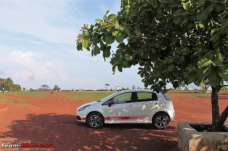 Owning a Fiat Abarth Punto - A car with character. EDIT : 50,000 km completed!-img_8635_profiletree.jpg