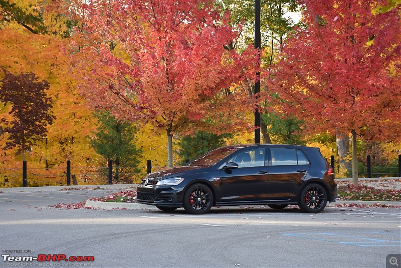 My 2019 VW Golf GTI DSG (Rabbit Edition)-fall-2.jpg