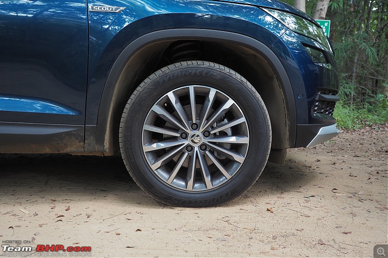 A close look : The 2019 Skoda Kodiaq Scout-pa161556.jpg