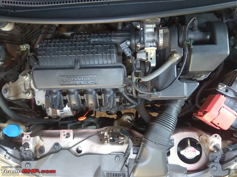 The Magic Carpet - My Honda Jazz Petrol CVT (Automatic)-pic-36b-engine-bay.jpg