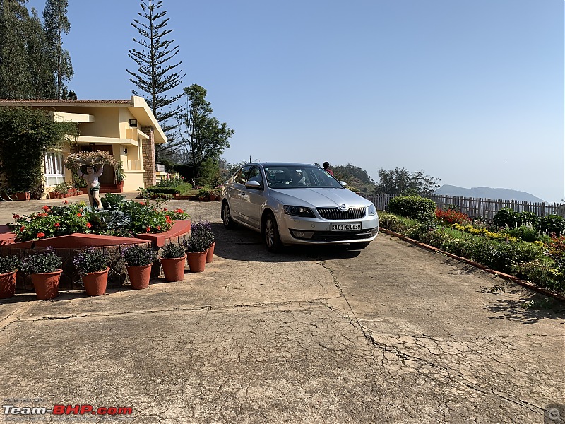 Review: Skoda Octavia (3rd-gen)-20190519_033037467_ios.jpg