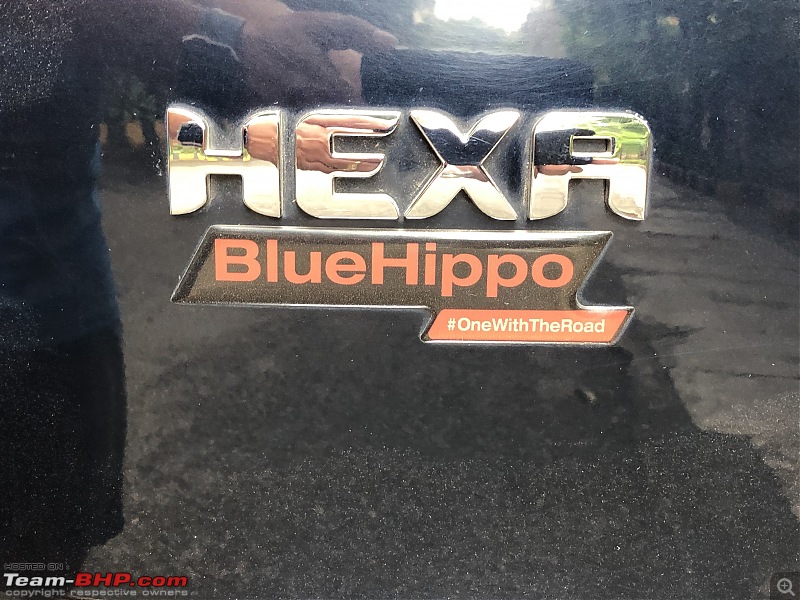 Life with our Blue Hippo, our Tata Hexa XT 4x2-blue-hippo.jpg