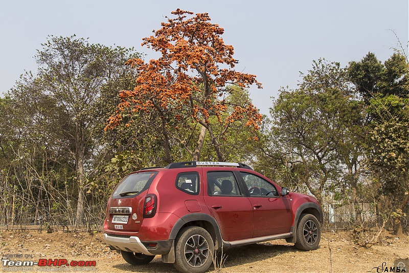 Renault Duster AWD : An owner's point of view-img_6824.jpg