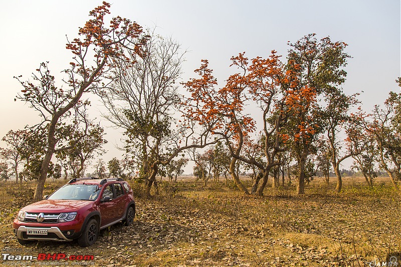 Renault Duster AWD : An owner's point of view-img_6836.jpg