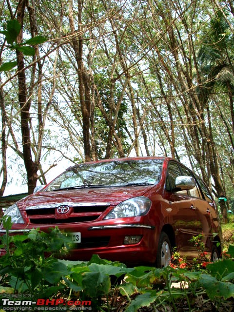 My new home on highways - simpson red Toyota Innova-inthewoods1.jpg