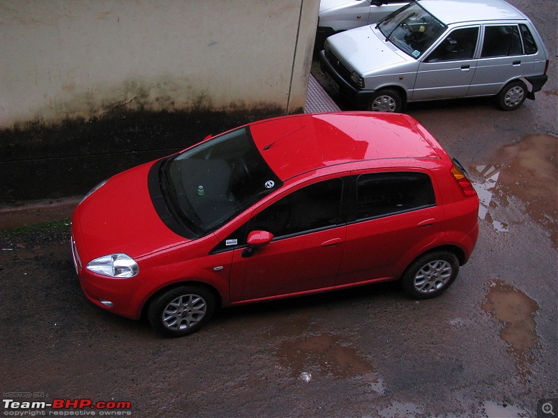 The BOLD, Red and Beautiful is here. (Punto MJD)-tn_picture-030.jpg