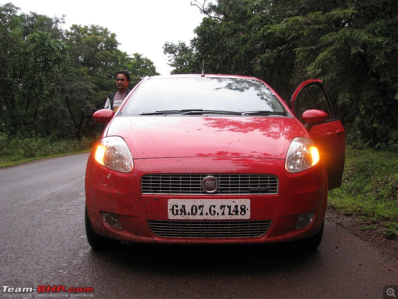 The BOLD, Red and Beautiful is here. (Punto MJD)-tn_picture-111.jpg