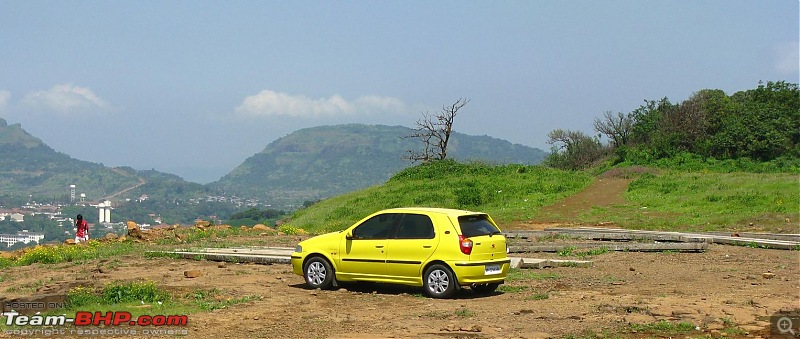 Fiat Palio - S10 - The legend lives on ! EDIT - Now Sold-img_2155.jpg