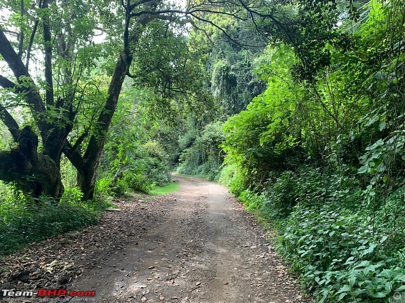 My 2020 Mahindra Thar Review (Mystic Copper)!-thar3.jpg