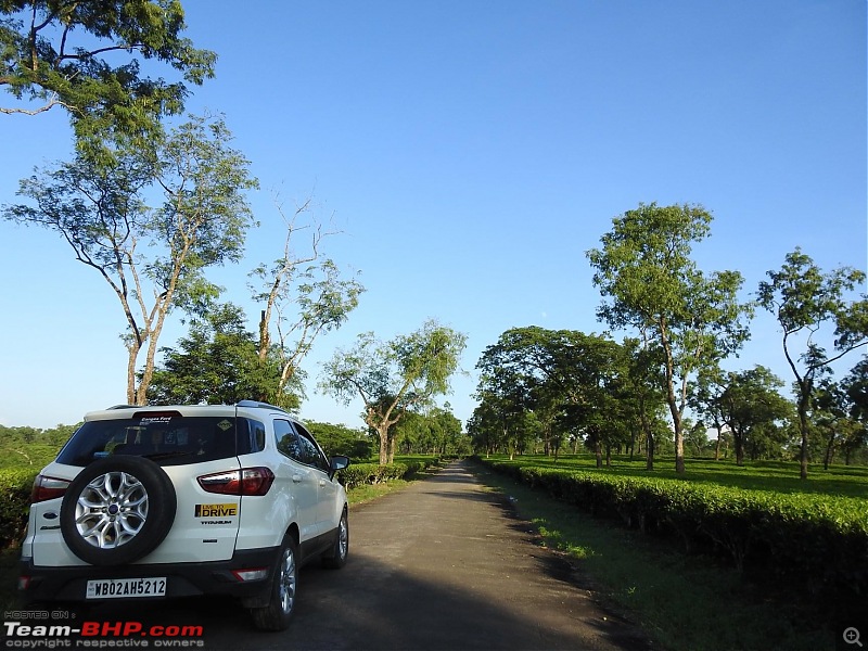 The story of Baahon, my Ford EcoSport 1.5 TDCi | EDIT: 1,41,500 kms up!-ca23f22d36a849899915996010042ce5.jpeg