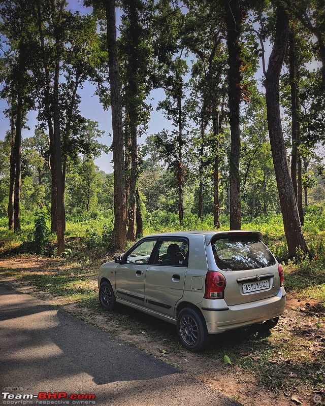 The Story of Zuki - Ownership Review of Maruti Alto K10-forest-click.jpg