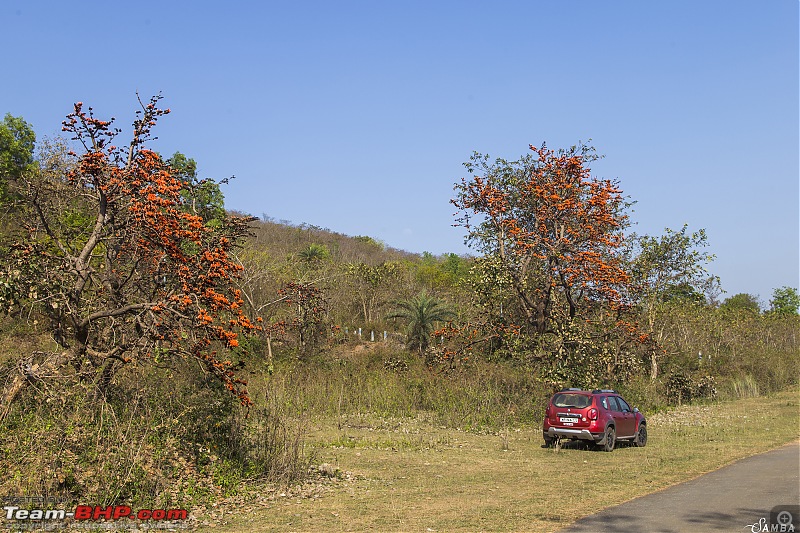 Renault Duster AWD : An owner's point of view-img_0265.jpg