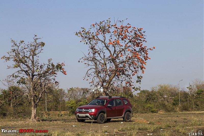 Renault Duster AWD : An owner's point of view-img_0280.jpg