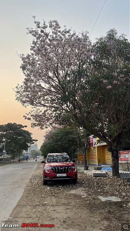 Reincarnating Orange Cheetah | TheRedSparkle Mahindra XUV700 AX7L AWD | 60,000 km up-flowers1.jpeg