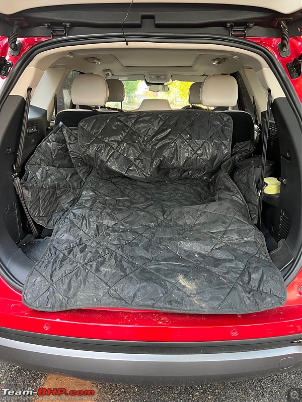 Red Rage - Mahindra XUV7OO - Initial Ownership Review-petcover.jpg