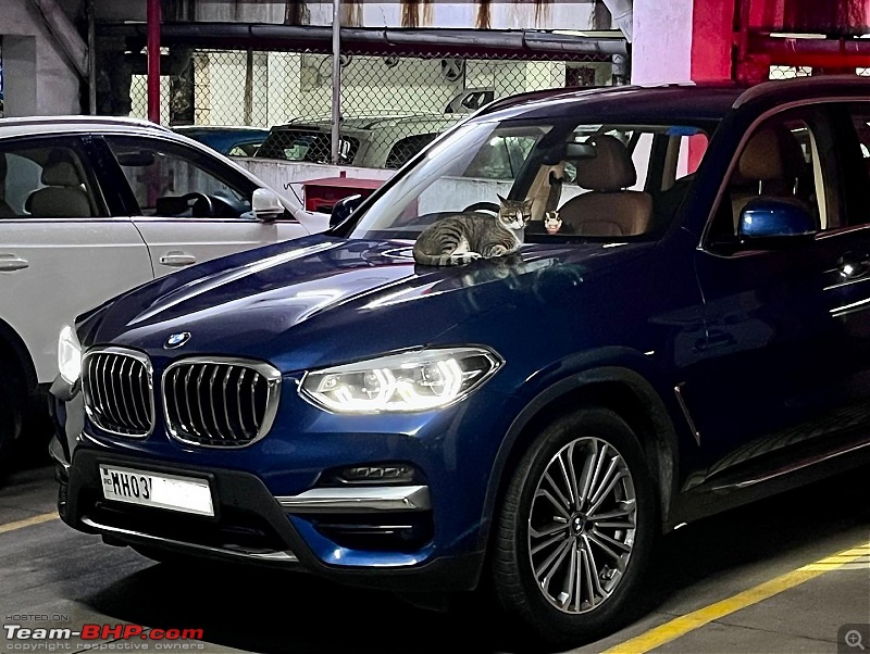 Blue Bolt | Our BMW X3 30i | Ownership Review | 2.5 years & 11,000 kms completed-242cb9e3d3ff45a2814a7888fa79dc9c.jpeg