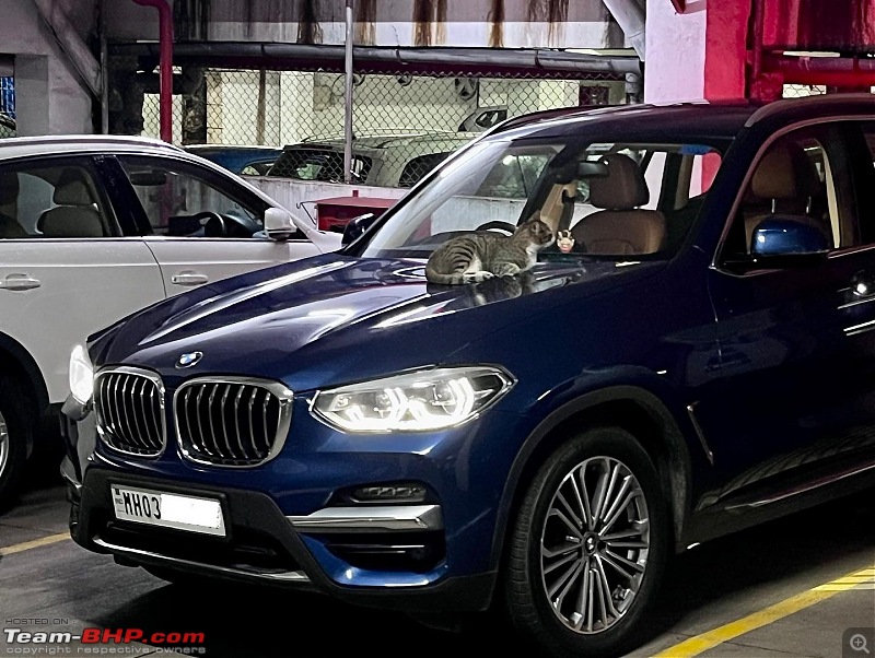 Blue Bolt | Our BMW X3 30i | Ownership Review | 2 years & 8,800 kms completed-b1b603280b8f443facccbb00bab59066.jpeg