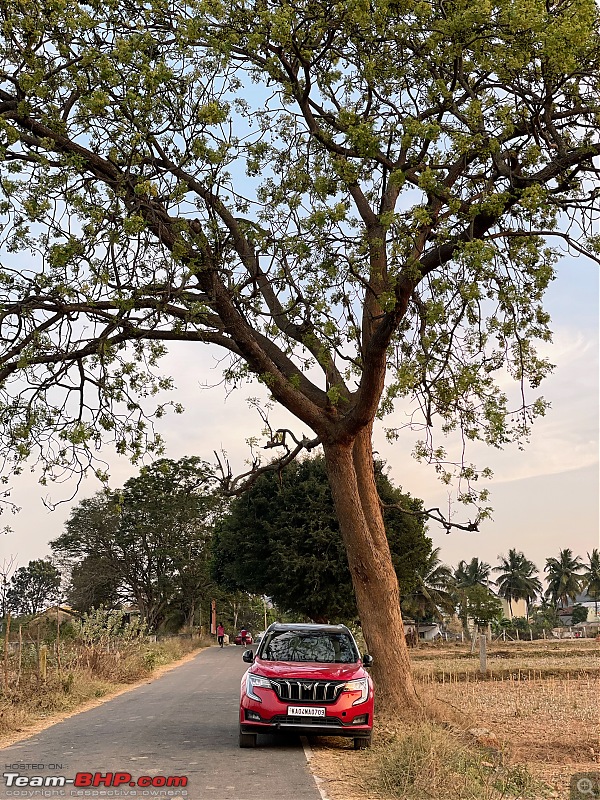 Reincarnating Orange Cheetah | TheRedSparkle Mahindra XUV7OO AX7L AWD | 1 Lakh kms done!-59125f78c3254114b57d7d0ae1645846.jpeg