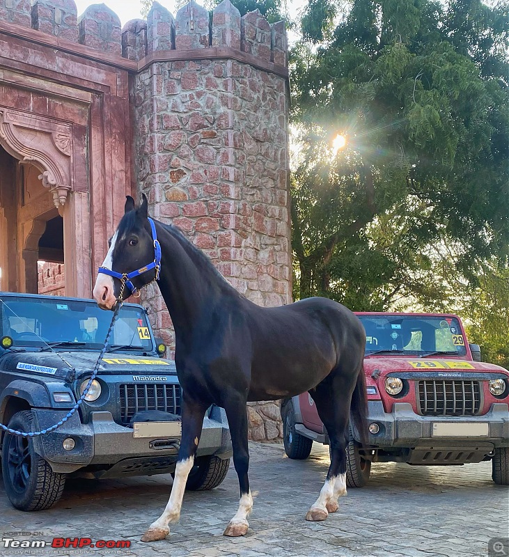 Robimahanta's Turbo-Petrol Garage | Polo GTI | BMW M340i | Mahindra Thar-mstallion-stallion.jpg