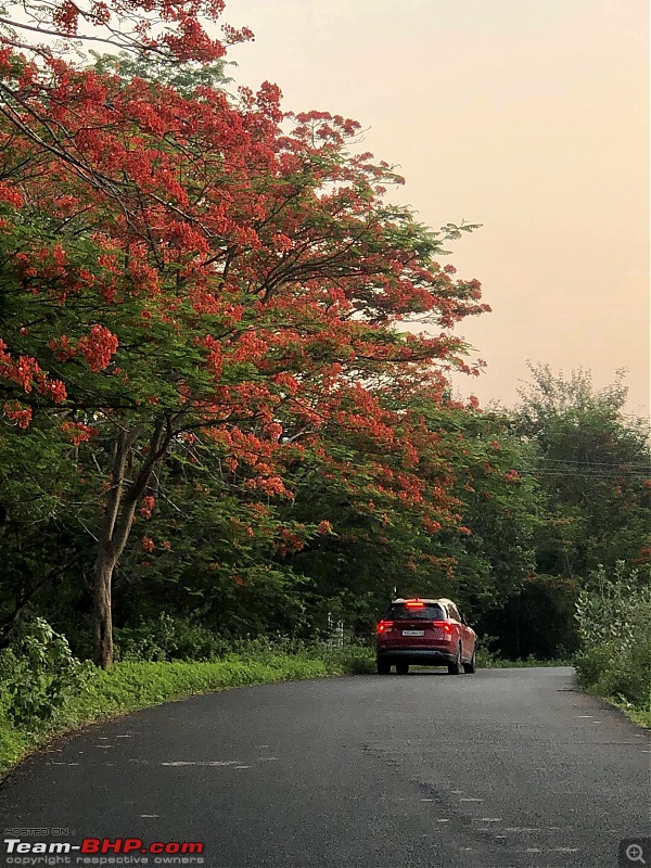 Reincarnating Orange Cheetah | TheRedSparkle Mahindra XUV700 AX7L AWD | 60,000 km up-img_3701_original_original.jpeg