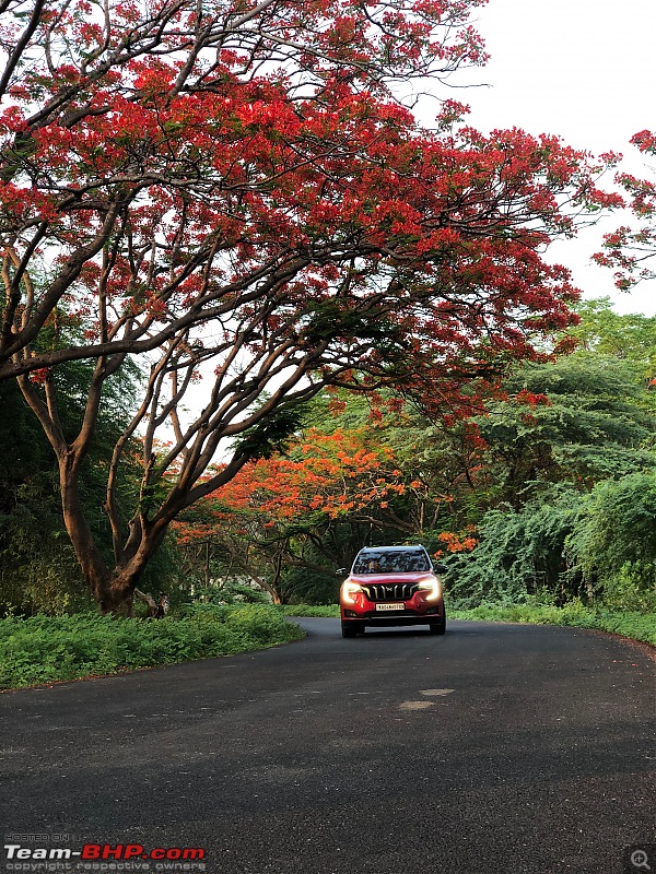 Reincarnating Orange Cheetah | TheRedSparkle Mahindra XUV7OO AX7L AWD | 1 Lakh kms done!-img_3693_original.jpeg