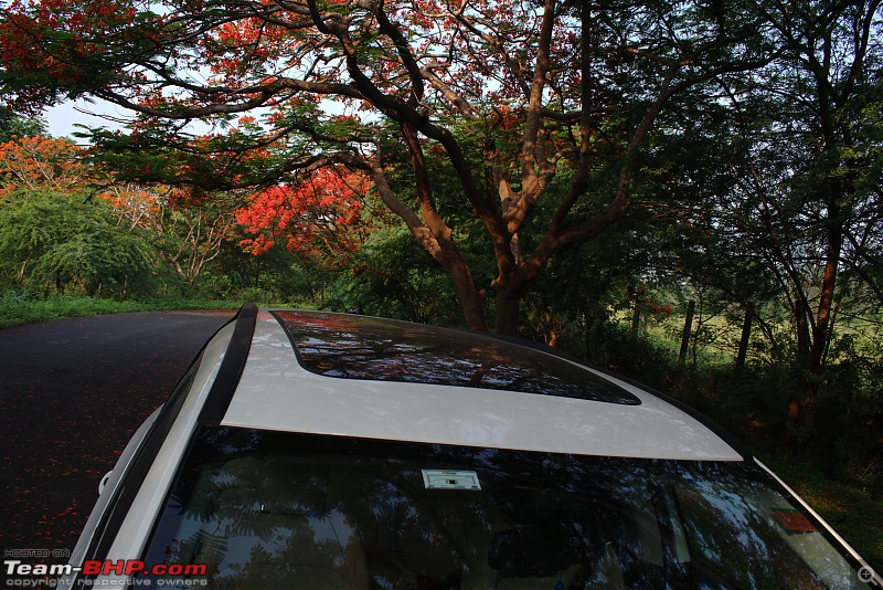 The Indominus comes home | Ownership review of my Tata Safari XZA+(O) Adventure Persona-dsc0105.jpg