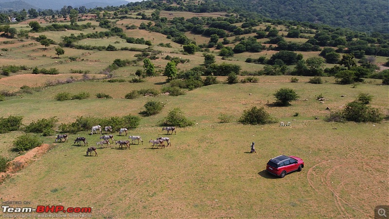 Reincarnating Orange Cheetah | TheRedSparkle Mahindra XUV700 AX7L AWD | 60,000 km up-dji_0871_original.jpeg