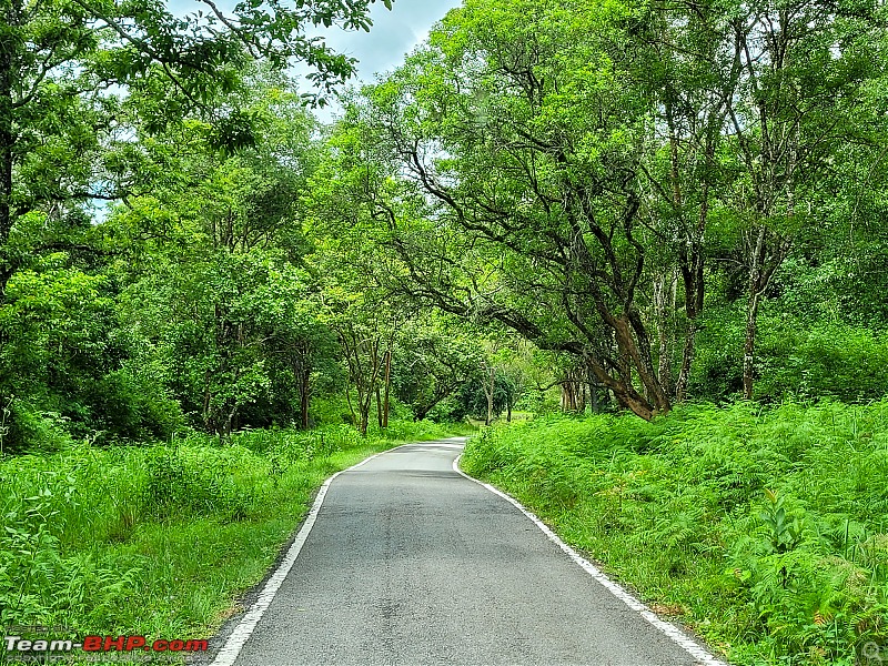 My 2023 Mahindra Thar Petrol AT 4x4 | Ownership Review | Dusty Reborn in 4x4-tharsolosm04.jpg