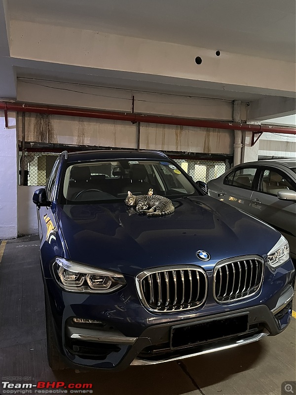 Blue Bolt | Our BMW X3 30i | Ownership Review | 2.5 years & 10,000 kms completed-img8697.jpg
