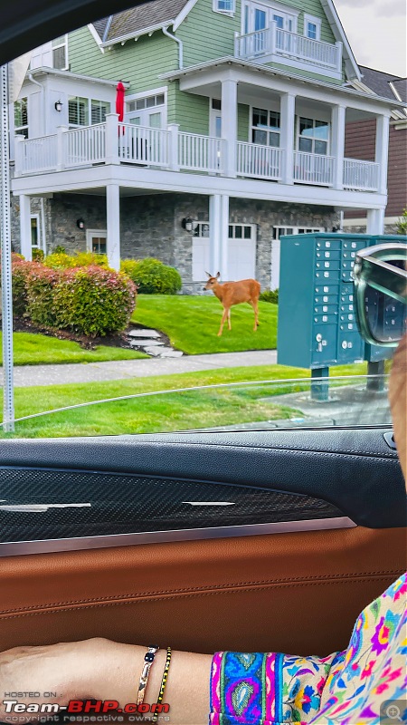 2021 BMW X3 M40i - My "Blau Rakete" completes 42,000 miles / 67,000 km in 4 Years of ownership-fullsizerender-11.jpg