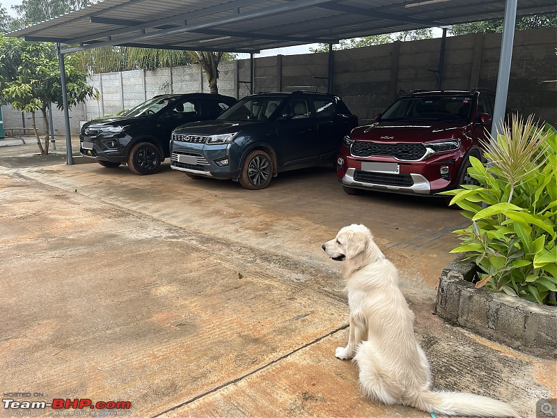 Ownership review of my first car, Yoda | Mahindra XUV300 W8(O) D MT | EDIT: 20,000 km update-img_4239.jpeg