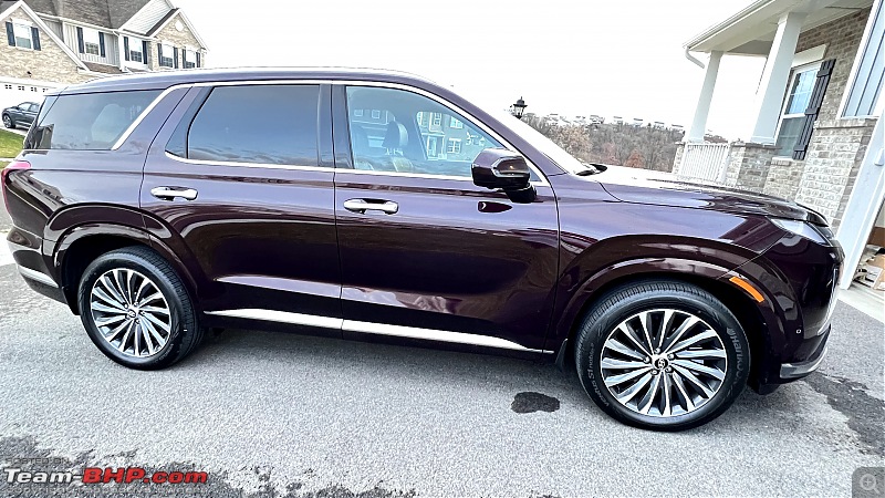 Domesticated in a Hyundai Palisade | The Burgundy Barouche comes home | Ownership Review-profile.jpg