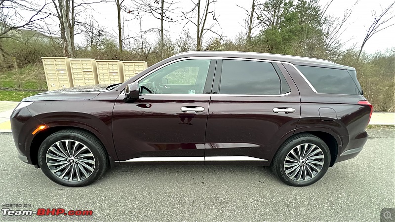 Domesticated in a Hyundai Palisade | The Burgundy Barouche comes home | Ownership Review-profile.jpg
