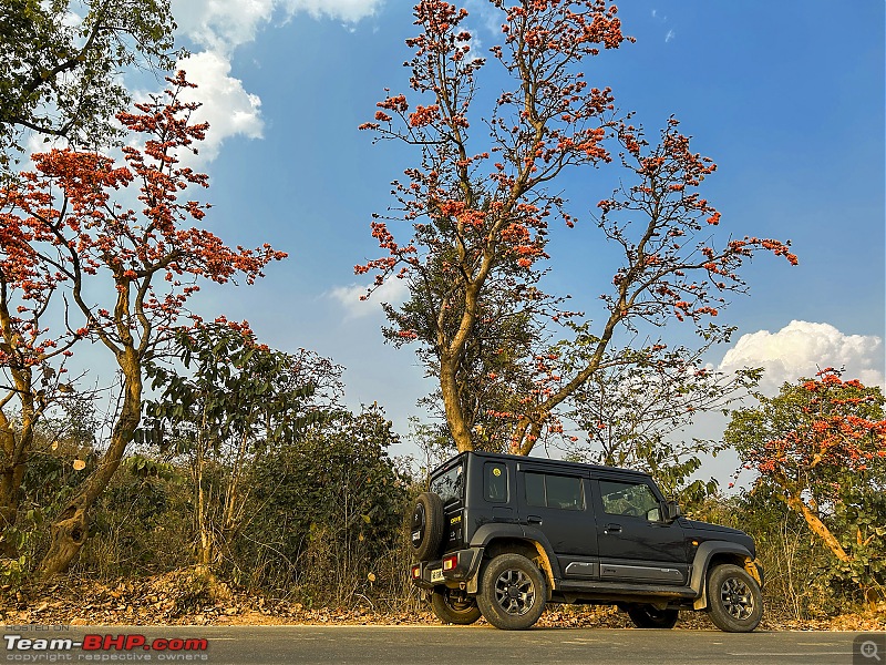 Maruti Jimny Alpha MT Review | An owner's point of view-img_5090.jpg