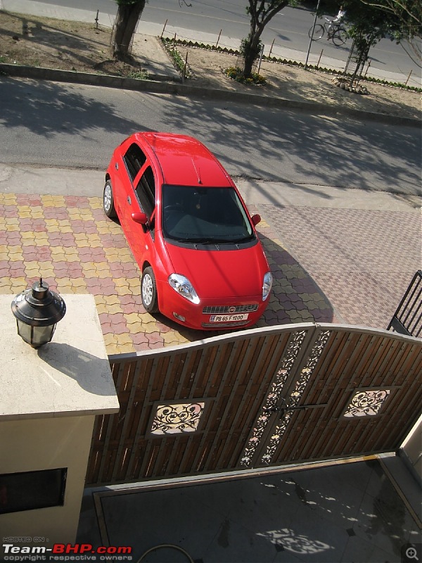 My Italian Stallion - FIAT Grande Punto MJD (Exotica Red). Photo shoot on pg 9.-img_2188.jpg
