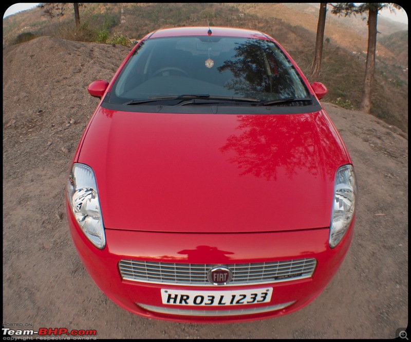 My Italian Stallion - FIAT Grande Punto MJD (Exotica Red). Photo shoot on pg 9.-fiat_punto14.jpg