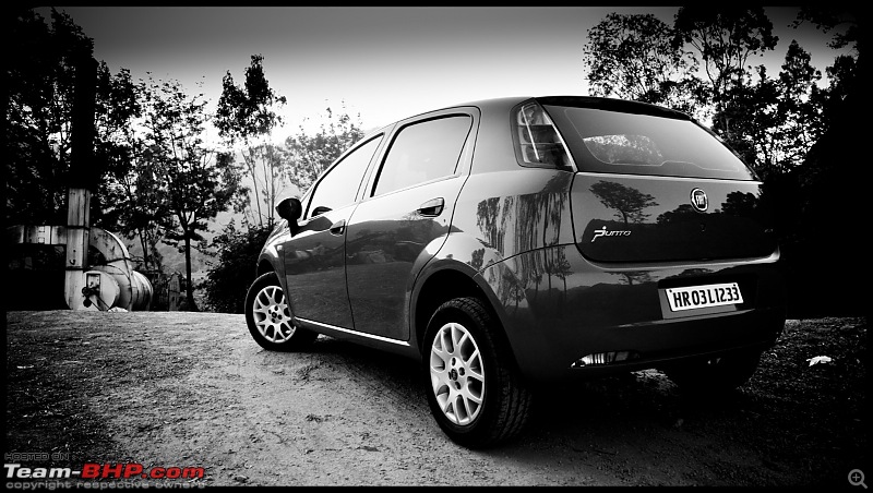 My Italian Stallion - FIAT Grande Punto MJD (Exotica Red). Photo shoot on pg 9.-fiat_punto17.jpg