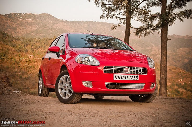 My Italian Stallion - FIAT Grande Punto MJD (Exotica Red). Photo shoot on pg 9.-fiat_punto113.jpg