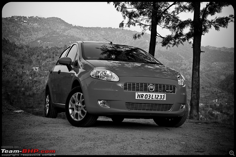 My Italian Stallion - FIAT Grande Punto MJD (Exotica Red). Photo shoot on pg 9.-fiat_punto114.jpg