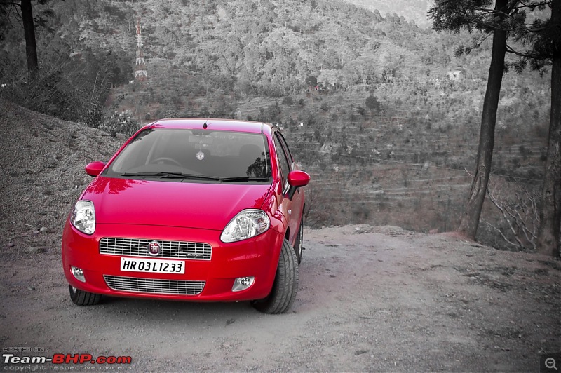 My Italian Stallion - FIAT Grande Punto MJD (Exotica Red). Photo shoot on pg 9.-fiat_punto115.jpg