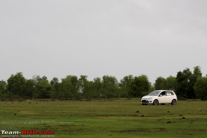 Review: 1st-gen Ford Figo (2010)-img_7277.jpg