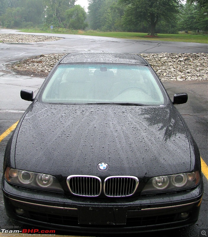 BMW 540i (E39) Initial ownership report-img_1992.jpg