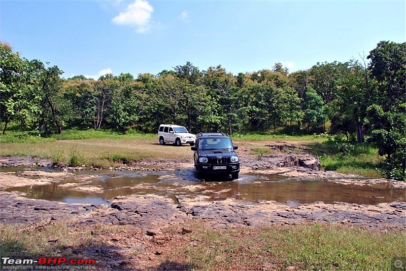 2010 Scorpio Automatic 4x4: Initial Report-dsc_0516.jpg