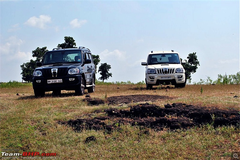 2010 Scorpio Automatic 4x4: Initial Report-dsc_0526.jpg