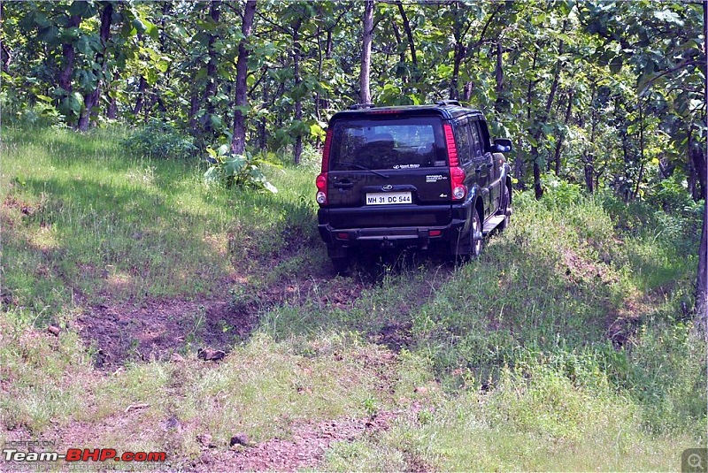 2010 Scorpio Automatic 4x4: Initial Report-dsc_0566.jpg