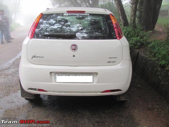 The zoo zoo saga - Fiat Punto 90 HP Bossa Nova White-img_1511.jpg