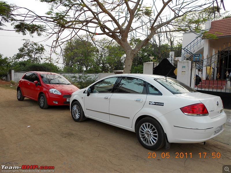 Renaissance of my JET - White FIAT Linea T-Jet+ (27,000 Kms Up)-1.jpg