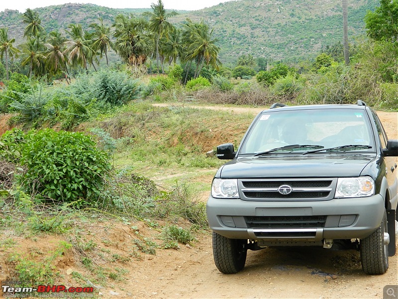 How to bring home a dream: Tata Safari LX BS4-dscn0154.jpg